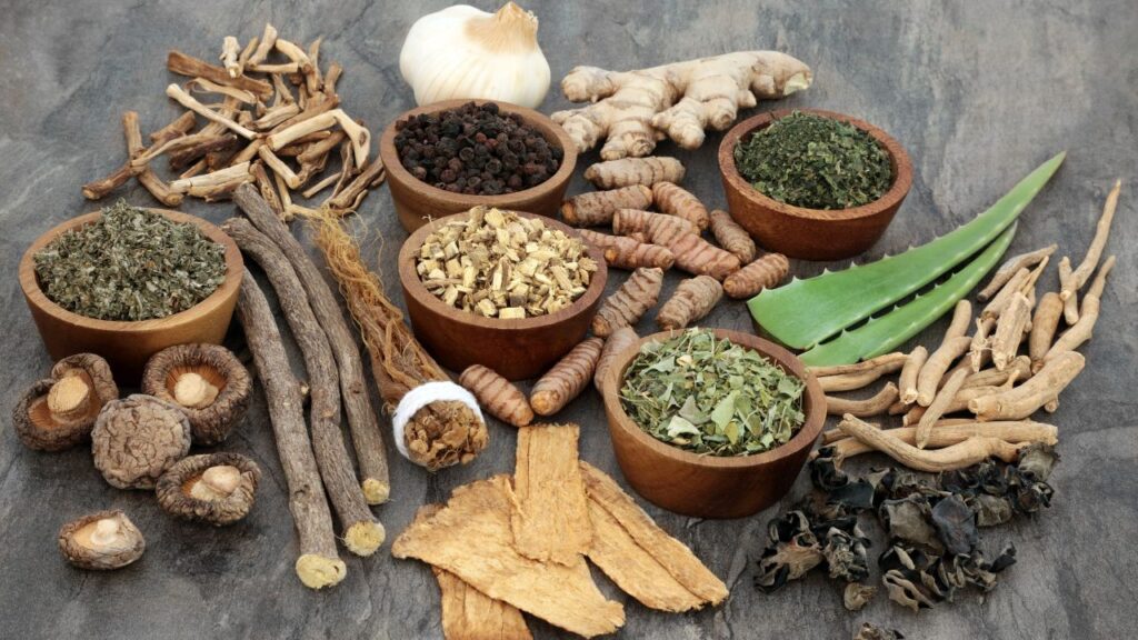 top 10 spices company in india
